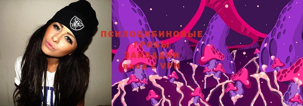 эйфоретик Алзамай