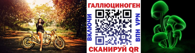 Галлюциногенные грибы Psilocybine cubensis  Обнинск 