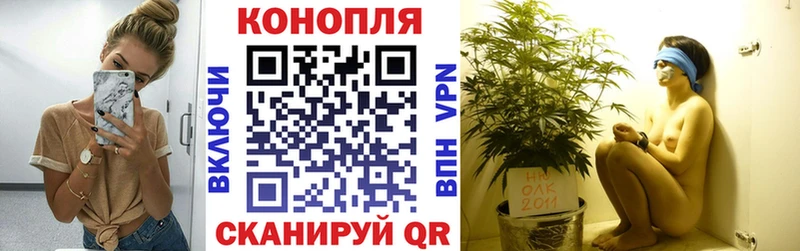 Бошки Шишки планчик  купить наркотики сайты  Обнинск 